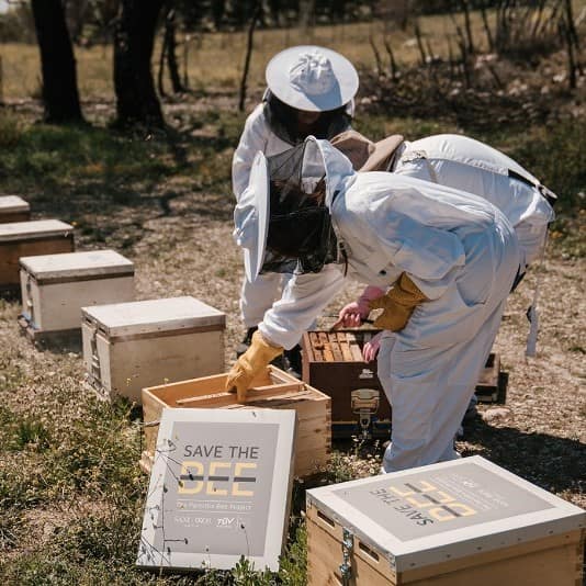 Ευρωκλινική: Save the Bee-The Parnitha project